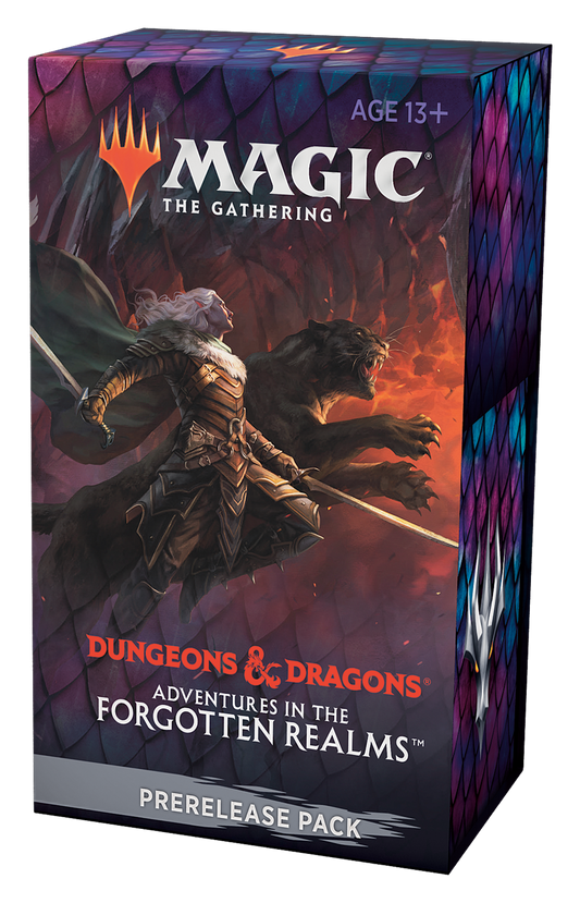 Dungeons & Dragons Adventures in the Forgotten Realms PreRelease Pack